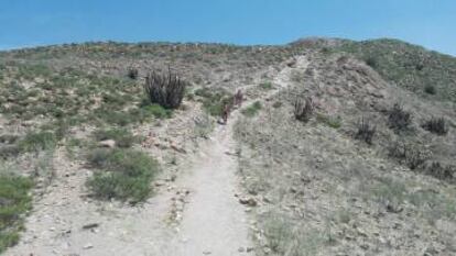 Primera caminata nudista en la región de Arequipa, en Perú.