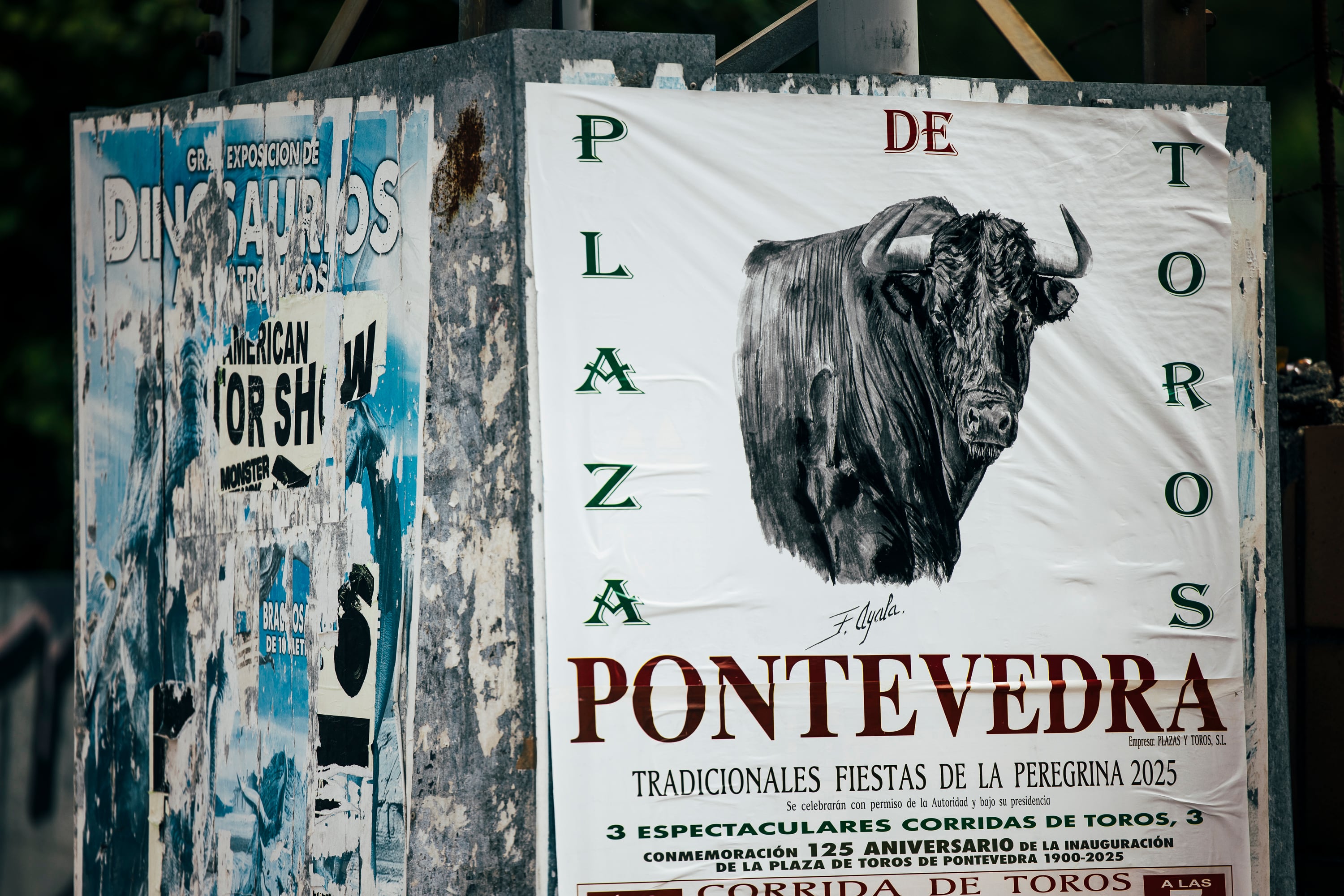 De las corridas de toros a las carreras de burros: los partidos gallegos se enzarzan en el maltrato animal