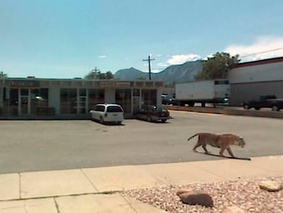Vista de una calle de Colorado (EE UU) captada por Street View en 2012 y recogida en la exposición de Jon Rafman.