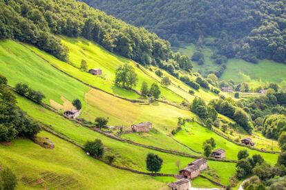 Tranquilo y entrañable, el valle del Pas es uno de esos paisajes profundamente rurales y teñidos de verde que tanto triunfan en Instagram. Está a solo una hora de Santander, en una zona de paso entre la costa y el interior de Castilla, de ahí su enorme patrimonio cultural e histórico. Por aquí pasaron los rebaños trashumantes desde el siglo XI y crearon una forma de vida diferente. Las villas pasiegas más importantes son Vega del Pas, San Pedro del Romeral y San Roque de Riomiera, con grandes conventos de los siglos XVI y XVII y mansiones de indianos. Es una zona perfecta para el senderismo y también para probar los placeres de la buena mesa, entre contundentes cocidos montañeses y los no menos contundentes y omnipresentes sobaos.