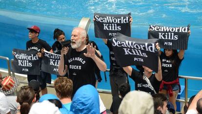 El actor James Cromwell, durante la protesta de PETA contra el espect&aacute;culo de orcas en el SeaWorld de San Diego.