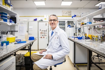 Bruno González-Zorn, director de la Unidad de Resistencia a Antimicrobianos de la Universidad Complutense de Madrid, en un laboratorio de la facultad de Veterinaria.