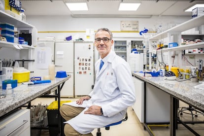 Bruno González-Zorn, director of the Antimicrobial Resistance Unit at the Complutense University of Madrid, in a laboratory of the Veterinary Faculty.