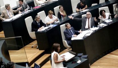 Ana Botellla en el pleno del Ayuntamiento de Madrid.