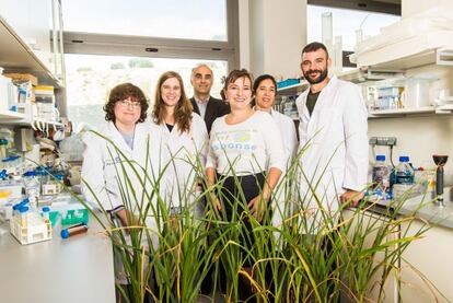 Miembros del equipo de PlanResponse Biotech.