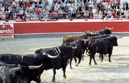 Toros de la ganadería de Palha, que se lidiarán el martes en Azpeitia.