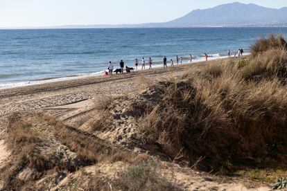 Playa Real de Zaragoza, en Marbella, donde fue asesinada Natalia Mosquera.