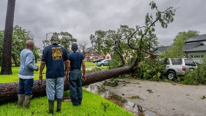 Residentes evalúan un árbol caído en su vecindario después de que el huracán Beryl arrasara la zona el 8 de julio de 2024 en Houston, Texas.