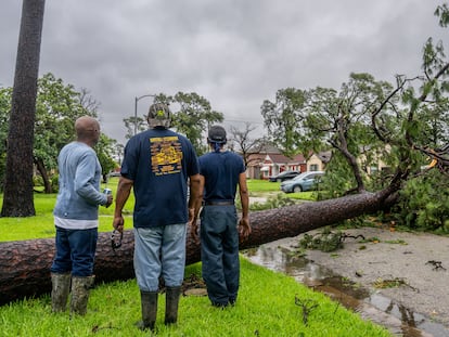 Residentes evalúan un árbol caído en su vecindario después de que el huracán Beryl arrasara la zona el 8 de julio de 2024 en Houston, Texas.