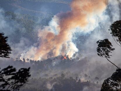 Efectivos de la UME y el Infoca continúan las labores de extinción del incendio forestal en el paraje de Olivargas de Almonaster la Real (Huelva).