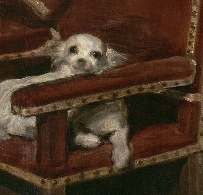 Detalle del perro del retrato 'El príncipe Felipe Próspero', de Velázquez, que se exhibe en el Kunsthhistorisches Museum de Viena.