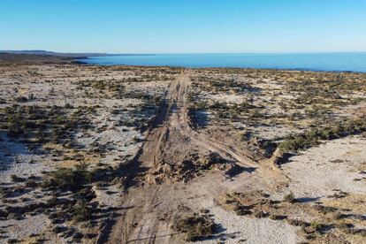 Vista aérea del camino construido en 2021 por el dueño de un terreno vecino a la reserva natural de Punta Tombo que destrozó decenas de nidos de pingüinos con una retroexcavadora.