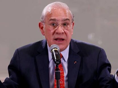 El secretario general de la Organización para la Cooperación y el Desarrollo Económicos (OCDE), José Ángel Gurría,