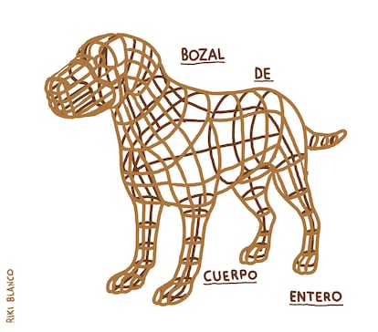 Viñeta de Riki Blanco del 17 de agosto de 2025