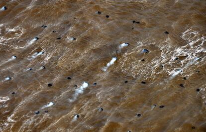 Imagen tomada por el gobierno regional canario, el sábado 15, en la que se muestra piroclastos humeantes cerca de la costa de El Hierro, a la altura de La Restinga.