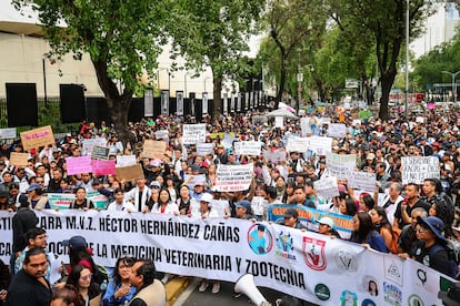 Este martes, mdicos veterinarios, asociaciones civiles y estudiantes de veterinaria marcharon en el centro de Ciudad de Mxico para exigir justicia por el asesinato.