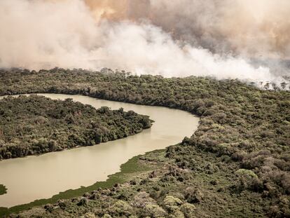 La sequía récord en el Pantanal en 2020.