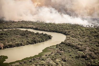 La sequía récord en el Pantanal en 2020.