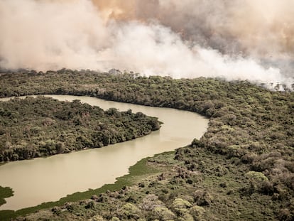 Seca recorde e queimadas recorde no Pantanal em 2020 afetam animais e até o céu de Cuiabá.