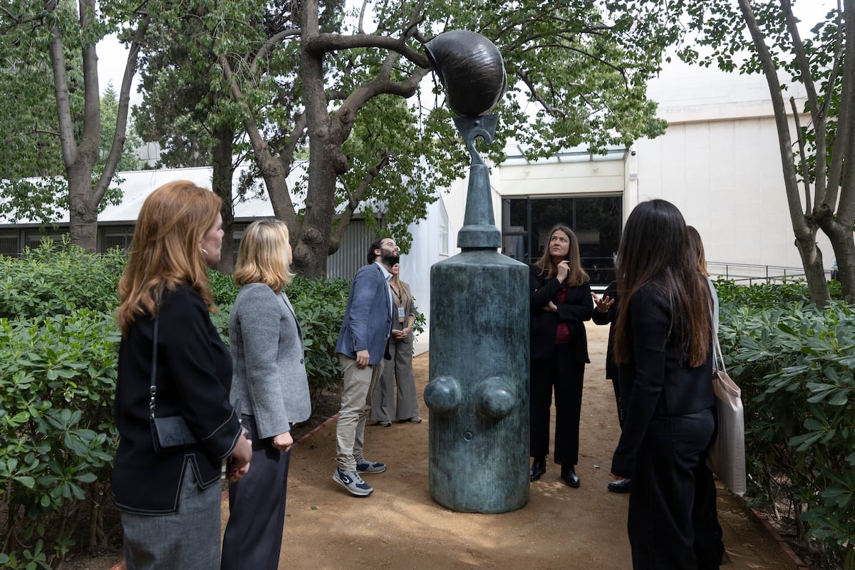 The Miró Foundation opens the Cypress Garden to the public for the first time | News from Catalonia