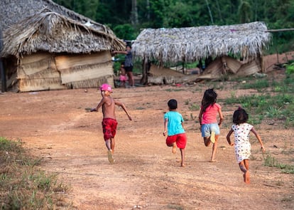 A preservação da terra dos Arara é importante para garantir o futuro das novas gerações de indígenas desta etnia. Atualmente mais de 300 índios vivem nas terras demarcadas pelo Governo Federal. "Nós sobrevivemos da mata, da caça de macacos, jabutis... A nossa briga é para que os brancos não desmatem tudo", explica o cacique Turu.