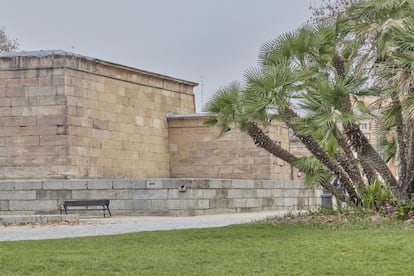 Palmito en los alrededores del templo de Debod. / ANTONELLO DELLANOTTE