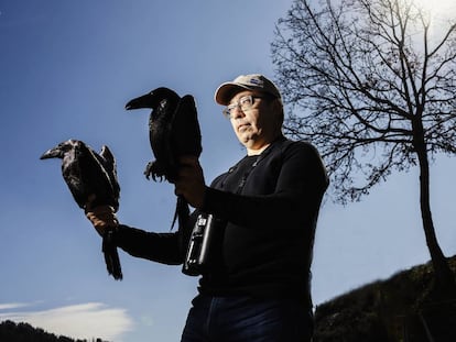 El ornitólogo José Luis Copete sostiene un cuervo en cada mano.