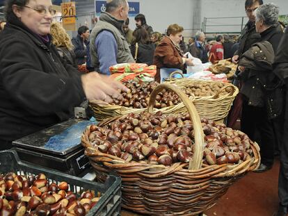 Feira de Santos de Monterroso