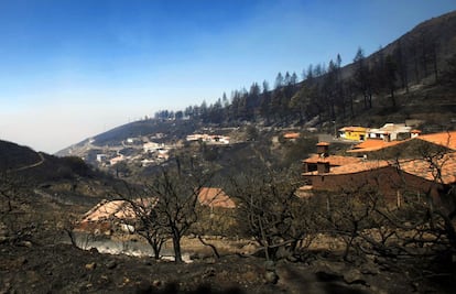 Casas rodeadas de monte quemado en La Gomera.