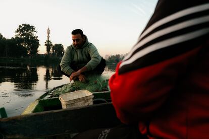  Arafa Saber recoge las redes de pesca y rescata los peces que luego coloca en un cubo, para limpiarlos antes de su venta.
