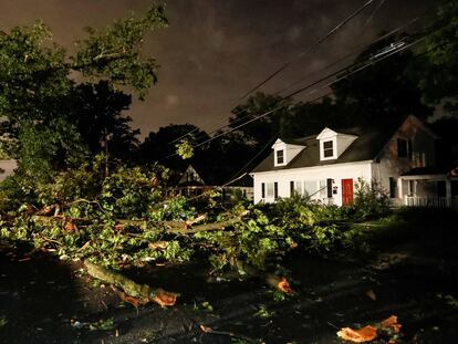 Un gran árbol caído obstruye una calle tras caer durante un tornado en Gaithersburg, Maryland (Estados Unidos), este 5 de junio.