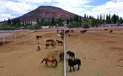 instalaciones del corral de caballos en el Criadero MIlitar de Ganado Santa Gertrudis, Chihuahua