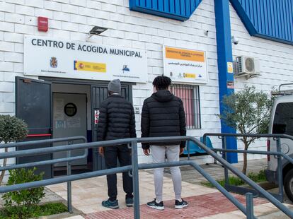 Temporeros aceituna en Jaén