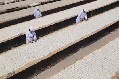 Trabajadores inspeccionan el secado del tofu bajo el sol en un taller en Qinhuangdao (China).