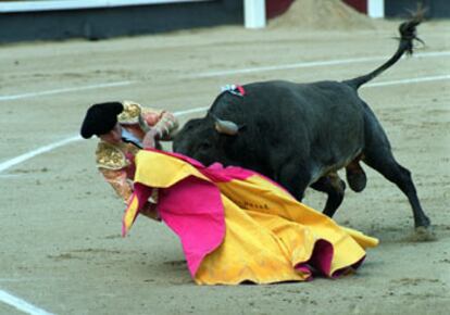 Gómez Escorial, volteado por su primer toro al recibirlo a <i>porta gayola.

</i>