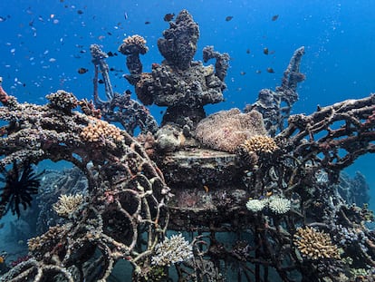 Viveros de Coral. Los arrecifes de coral de Pemuteran, al noroeste de Bali, se han deteriorado debido a métodos agresivos de pesca empleados en la zona. Para restaurar el hábitat se han construido viveros de coral utilizando una tecnología llamada acreción mineral electrolítica (Biorock).