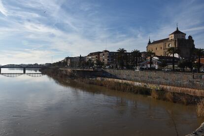 Vista del centro de Talavera de la Reina desde uno de los puentes que cruzan el río Tajo en la ciudad.