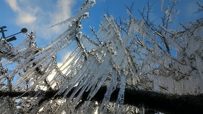 De acordo com a Climatempo, a temperatura mais baixa registrada na região sul foi -7,4°C em Bom Jardim da Serra (SC), no Morro da Igreja. Na imagem, árvore congelada em São Joaquim