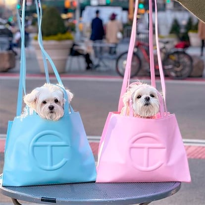 A la última. Otras mascotas modelo son los hermanos Dior y Obi-Wan, unos malteses neoyorquinos conocidos como The Doggy Days que han posado con parte de su impresionante armario -prendas vintage, bolsos de Telfar- para Buffalo Zine. En Instagram tienen 88.000 seguidores y en TikTok suman 865.800 y cuentan sus viajes, se disfrazan de Harry Potter o muestran sus capichos gastro (muchos de ellos, colaboraciones pagadas con marcas).