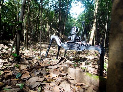 Otra de las iniciativas tecnológicas es el desarrollo de un robot de seis patas que realiza mapas en tres dimensiones de la selva, como si fuera una cartografía de Google de cualquier ciudad.
