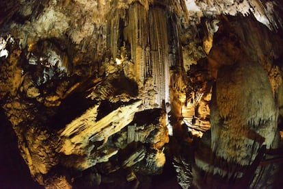 Descubierta por unos niños en 1959, la cueva de Nerja es hoy sede del Festival de Música de Nerja, y en su interior ha tocado su violonchelo Rostropóvich y ha bailado Maya Plisétskaya. En la llamada sala del Cataclismo se halla la mayor columna de formación kárstica conocida, de 45 metros de altura. Más información en <a href="http://www.cuevadenerja.es/" target="_blank">cuevadenerja.es</a>