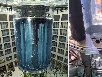 El AquaDom, el acuario cilíndrico más grande del mundo, ubicado en el interior del hotel Radisson Collection de Berlín, antes y después del reventón.
