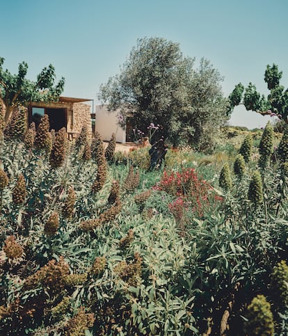 El jardín de la casa, con plantas de los viveros Es Bosc.