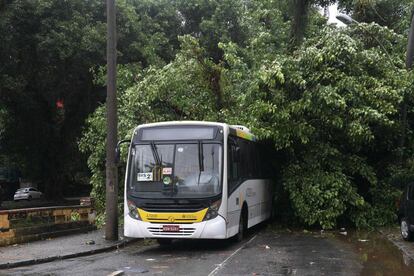 Ônibus atingido por uma árvore no Rio de Janeiro, que desabou durante o temporal que atingiu a cidade entre a noite desta segunda-feira e a madrugada desta terça. 