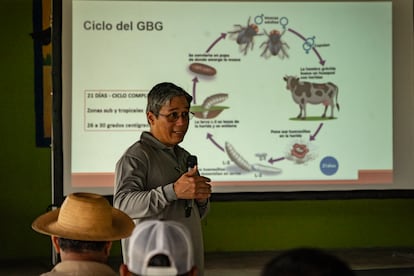 José Abrego, médico veterinario de COPEG , da talleres sobre la mosca de gusano barrenador a ganaderos de la comunidad Monte Oscuro.