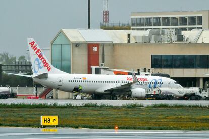 Avión de la compañía aérea Air Europa este lunes, en el aeropuerto de Palma, en Mallorca.