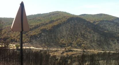 Montes del término de Andilla después del incendio.