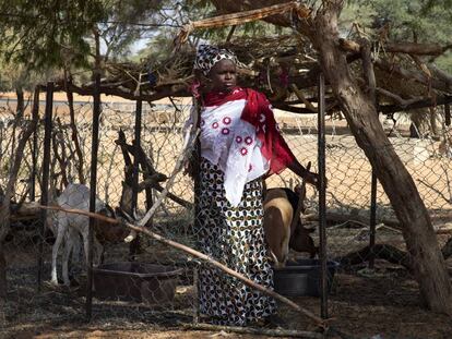 Así ayuda España a un vecino