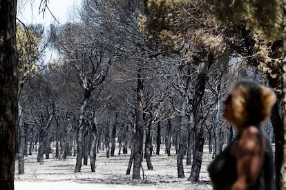 Una de las zonas afectadas en el incendio de Doñana.