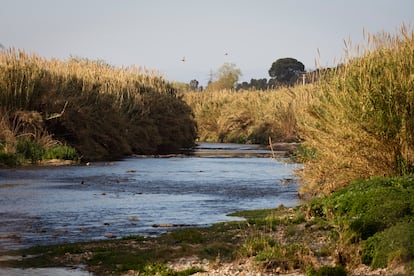 El rio Besós a la altura de Vallbona.